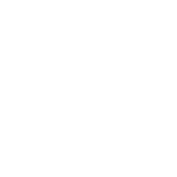 Développeurs