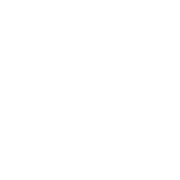 Base de données