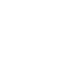 Workflows graphiques