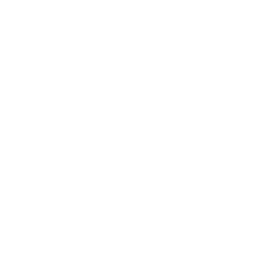 Sécurité intégrée
